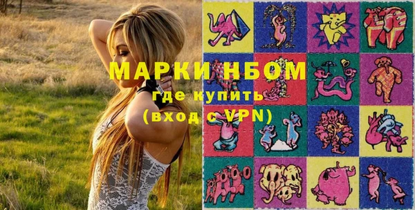 таблы Гусев