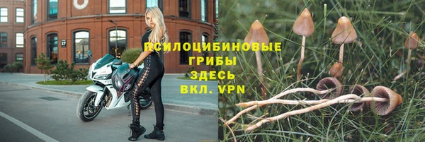 прущие крисы Дмитровск