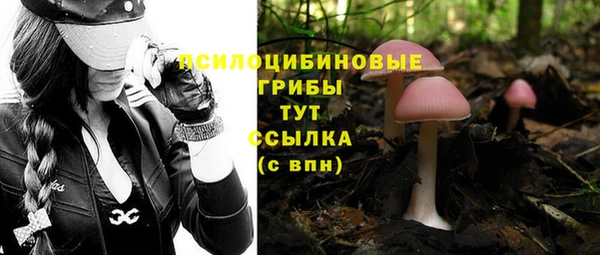 прущие крисы Дмитровск