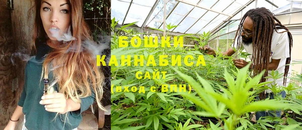 прущие крисы Дмитровск