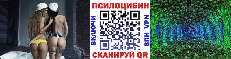 Галлюциногенные грибы Psilocybe  мега как зайти  Нефтекамск 